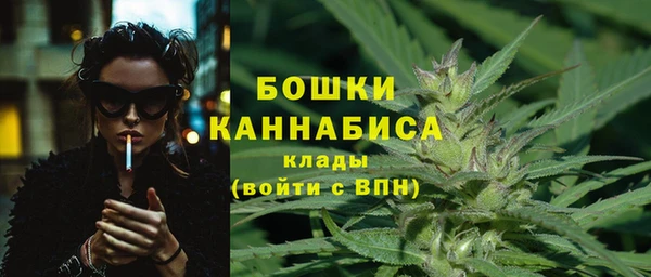 гашик Белоозёрский