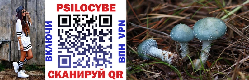сколько стоит  Белозерск  Псилоцибиновые грибы MAGIC MUSHROOMS 